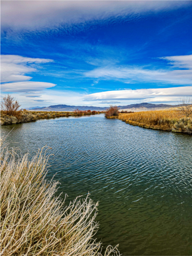 Main image Humboldt Calm Creek