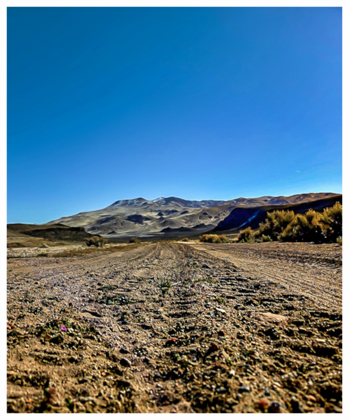 Main image Dirt Road Hills