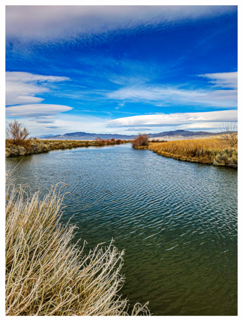 Main image Humboldt Calm Creek